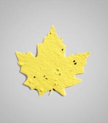 shapes-Maple-Leaf-1.jpg