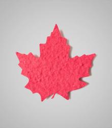 shapes-Maple-Leaf-2.jpg