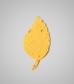 shapes-Aspen-Leaf-1.jpg