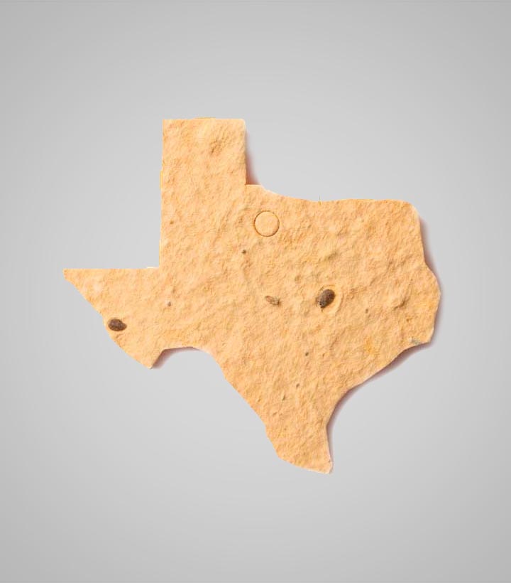 shape-Texas.jpg