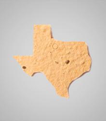 shape-Texas.jpg