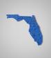 shape-Florida.jpg