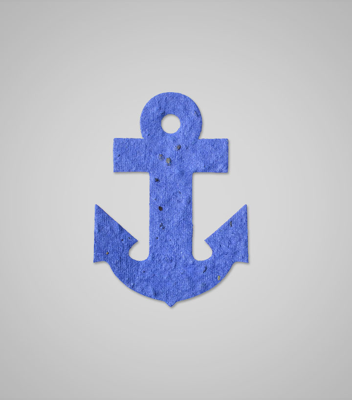 shape-Anchor.jpg